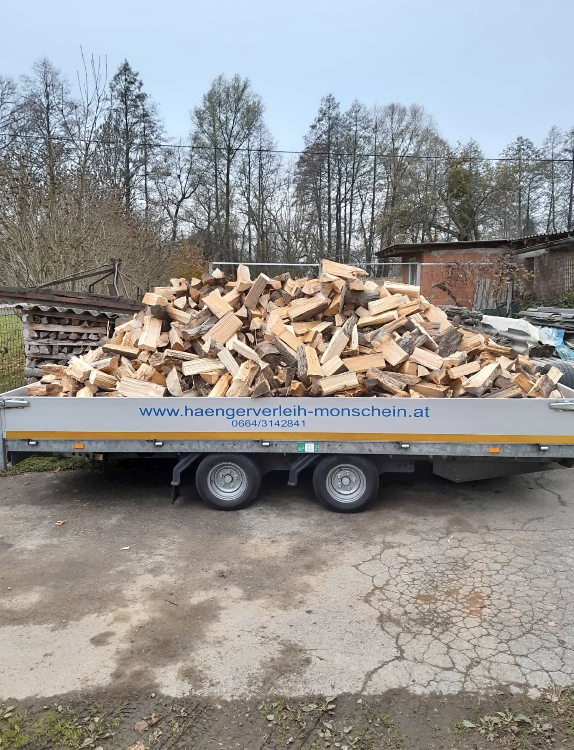 Multitransporter Bild 1